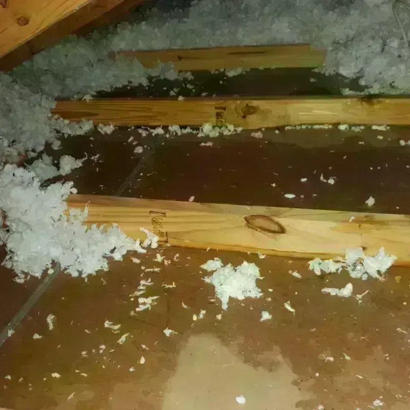 Attic Water Damage in Haughton, LA